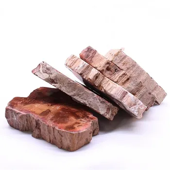 Naravnih Mineralov, Fosilnih Woodstone Lesa Fosilno Drevo Za Dom Dekoracija Lesenih Drevo Fosilnih Pokal Blazino Kamen Železnica